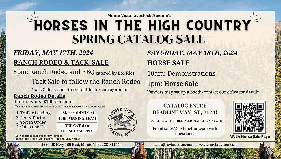 Horse Sales MVLAuction